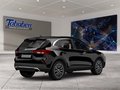 Daumennagel 2 - Ford Kuga Head-Up-Display + Ganzjahresreifen