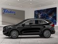 Daumennagel 3 - Ford Kuga Head-Up-Display + Ganzjahresreifen