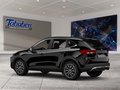 Daumennagel 4 - Ford Kuga Head-Up-Display + Ganzjahresreifen