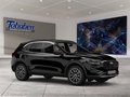 Daumennagel 7 - Ford Kuga Head-Up-Display + Ganzjahresreifen