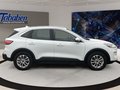 Daumennagel 4 - Ford Kuga Ganzjahresreifen + Winter-Paket