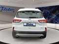Daumennagel 6 - Ford Kuga Ganzjahresreifen + Winter-Paket