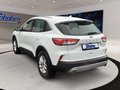 Daumennagel 7 - Ford Kuga Ganzjahresreifen + Winter-Paket