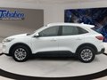 Daumennagel 8 - Ford Kuga Ganzjahresreifen + Winter-Paket