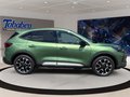 Daumennagel 4 - Ford Kuga Active X + Winter Paket + PDC + Navi