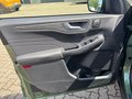 Daumennagel 23 - Ford Kuga Active X + Winter Paket + PDC + Navi