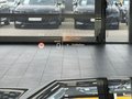 BMW X1 18i sDrive M Sport AHK/PANO/K.Zg/HUD/19° - foto 3