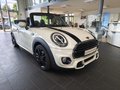 MINI Cooper Cabrio JCW/NaviProf/LEDER/17Alu - foto 1