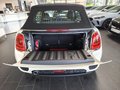 MINI Cooper Cabrio JCW/NaviProf/LEDER/17Alu - foto 7
