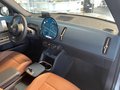 MINI Countryman C Favoured Trim Paket XL / 19 Zoll - photo 7