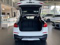 BMW X4 xDrive 20i M Sport NaviProf/GSD/RFK - фото 4