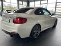 BMW M235i NaviProf/Leder/RFK/H&K/Xenon - фото 7