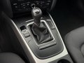 Daumennagel 18 - Audi A4 Avant 2.0 TDI *ABT-POWER*TIEFGRÜN-PERLEFFEKT*