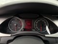 Daumennagel 19 - Audi A4 Avant 2.0 TDI *ABT-POWER*TIEFGRÜN-PERLEFFEKT*