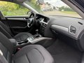 Daumennagel 10 - Audi A4 Avant 2.0 TDI *ABT-POWER*TIEFGRÜN-PERLEFFEKT*