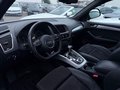Daumennagel 4 - Audi Q5 3.0 TDI quatt S tronic S line Plus *RCAM*KEYL