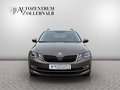 Daumennagel 2 - Skoda Octavia Combi 2.0 TDI DSG Style *1.HAND*VIRTUAL*
