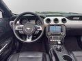 Daumennagel 13 - Ford Mustang Cabrio 5.0 V8 GT *SCHALTER*WENIG KM*TOP*