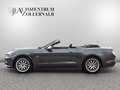 Daumennagel 3 - Ford Mustang Cabrio 5.0 V8 GT *SCHALTER*WENIG KM*TOP*