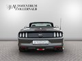 Daumennagel 5 - Ford Mustang Cabrio 5.0 V8 GT *SCHALTER*WENIG KM*TOP*