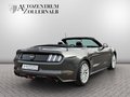 Daumennagel 6 - Ford Mustang Cabrio 5.0 V8 GT *SCHALTER*WENIG KM*TOP*