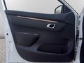 Daumennagel 13 - Dacia Spring Electric Extreme *1.HAND*CCS*KAMERA*LEDER