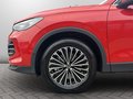 Daumennagel 22 - Volkswagen Tiguan 2.0 TDI 4M DSG Elegance *AHK*LEDER*STHZG*
