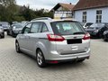 Daumennagel 5 - Ford Grand C-Max 2.0 TDCi Titanium *1.HAND*AHK*NAVI*