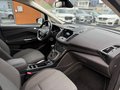 Daumennagel 6 - Ford Grand C-Max 2.0 TDCi Titanium *1.HAND*AHK*NAVI*