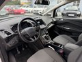 Daumennagel 7 - Ford Grand C-Max 2.0 TDCi Titanium *1.HAND*AHK*NAVI*
