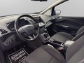 Daumennagel 10 - Ford C-Max 1.0 EcoBoost Business Edition *NAVI*LNKHZG