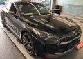 Daumennagel 3 - Kia Stinger GT 3.3 T-GDI 4WD *ACC*H&K*HUD*SITZKLIMA*