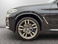 Daumennagel 22 - BMW X4 M40d *H&K*SPUR*AHK*AKUSTIK*AMBIENT-AIR*RCAM*