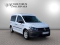 Daumennagel 8 - Volkswagen Caddy 1.2 TSI 5-Sitz *BEHINDERTENGERECHT & RAMPE