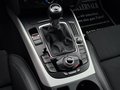 Daumennagel 13 - Audi A5 Sportback 2.0 TDI quattro S line *XENON*STDHZ