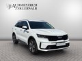 Daumennagel 8 - Kia Sorento 2.2 CRDi Spirit 4WD *SAFETY*ACC*LNKRDHZG