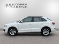 Daumennagel 3 - Audi Q3 2.0 TDI quattro S tronic *1.HAND*BI-XENON*AHK