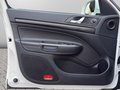 Daumennagel 14 - Skoda Octavia Combi RS 2.0 TDI *XENON*AHK*GUTER ZUSTAN