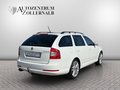 Daumennagel 6 - Skoda Octavia Combi RS 2.0 TDI *XENON*AHK*GUTER ZUSTAN