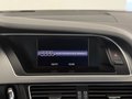 Daumennagel 15 - Audi A4 Limousine 2.0 TDI multitronic Ambition *B&O*