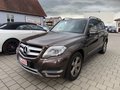 Daumennagel 2 - Mercedes-Benz GLK 220 CDI 4Matic *AHK*PANO*LEDER*BI-XENON*SPUR