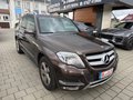Daumennagel 3 - Mercedes-Benz GLK 220 CDI 4Matic *AHK*PANO*LEDER*BI-XENON*SPUR