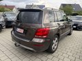 Daumennagel 4 - Mercedes-Benz GLK 220 CDI 4Matic *AHK*PANO*LEDER*BI-XENON*SPUR