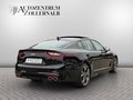 Daumennagel 6 - Kia Stinger GT 3.3 T-GDI 4WD *ACC*H&K*HUD*SITZKLIMA*