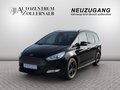 Daumennagel 1 - Ford Galaxy 1.5 EcoBoost Business Edition *TOP ZUSTAN