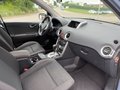 Daumennagel 9 - Renault Koleos 2.0 dCi FAP 4x4 Automatik *1.HAND*AHK*SHZ