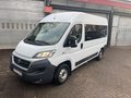 Daumennagel 2 - Fiat Ducato 2.3 MJT 150 PS L2H2 Behindertengerecht