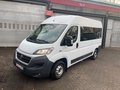 Daumennagel 4 - Fiat Ducato 2.3 MJT 150 PS L2H2 Behindertengerecht