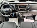 Daumennagel 15 - Ford Transit Custom Kasten 320 L2H1 Trend