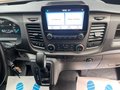 Daumennagel 17 - Ford Transit Custom Kasten 320 L2H1 Trend